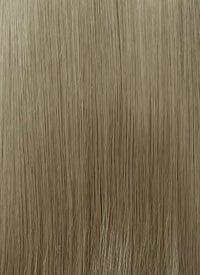 Greenish Grey Straight Lace Front Kanekalon Synthetic Hair Wig LF3346