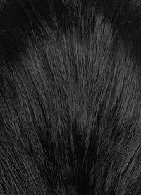 Black And White Straight Lace Front Synthetic Men's Wig LF8084