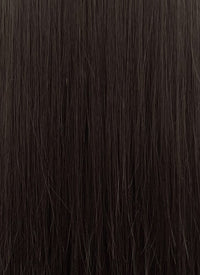 Brunette Straight Synthetic Hair Wig NS540