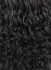 Spiral Curly Black Lace Front Synthetic Wig LF166