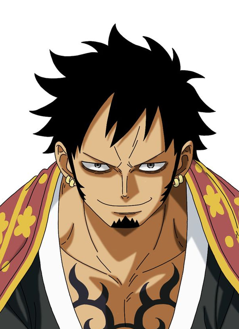 One Piece Trafalgar D. Water Law Inspired Wig CMS029