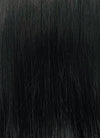 Black Straight Full Lace Kanekalon Synthetic Wig FUL011