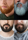 Full Beard Facial Hair Customizable