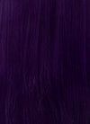 The Apothecary Diaries Jinshi Purple Braided Lace Front Synthetic Men's Wig LF2517
