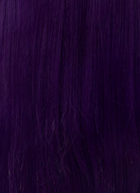 The Apothecary Diaries Jinshi Purple Braided Lace Front Synthetic Men's Wig LF2517