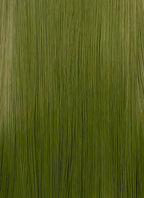 Green Straight Lace Front Synthetic Wig LF3364