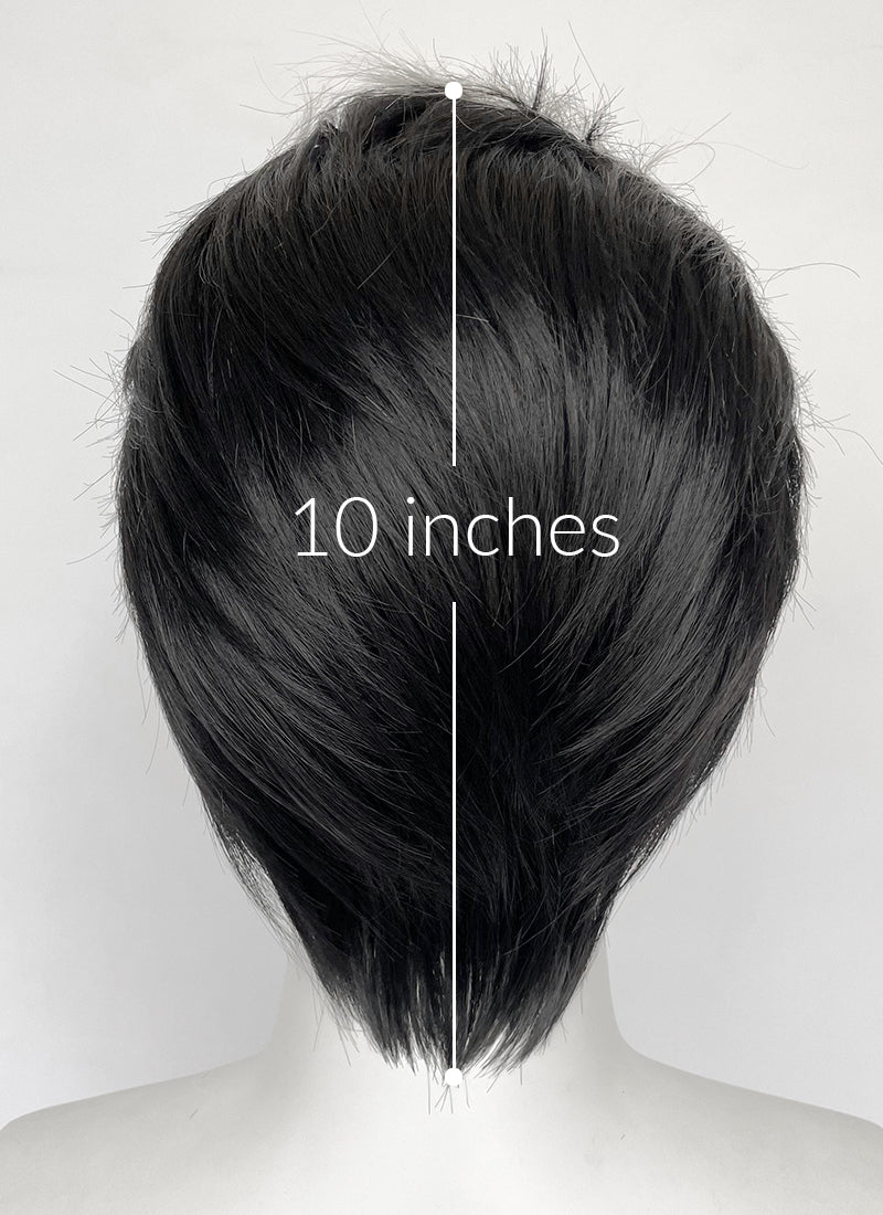Helluva Boss Blitzo Buckzo Black and Silver White Money Piece Straight Lace Front Synthetic Men's Wig LF6065