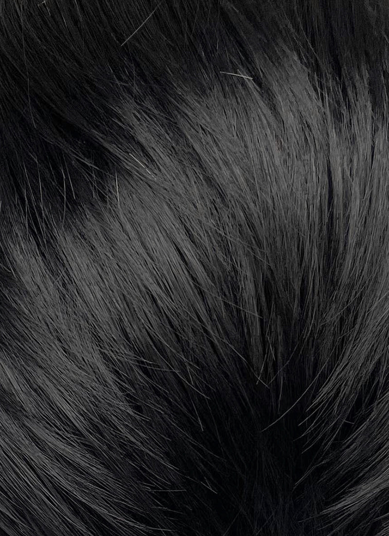 Helluva Boss Blitzo Buckzo Black and Silver White Money Piece Straight Lace Front Synthetic Men's Wig LF6065