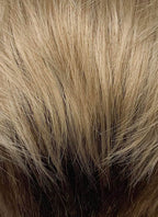Blonde Brown Peekaboo Straight Lace Front Synthetic Men's Wig LF6108