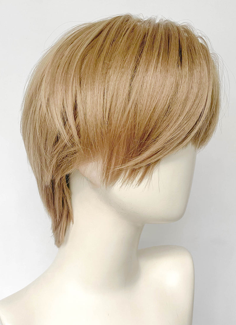 Mixed Blonde Straight Lace Front Synthetic Men's Wig NM008