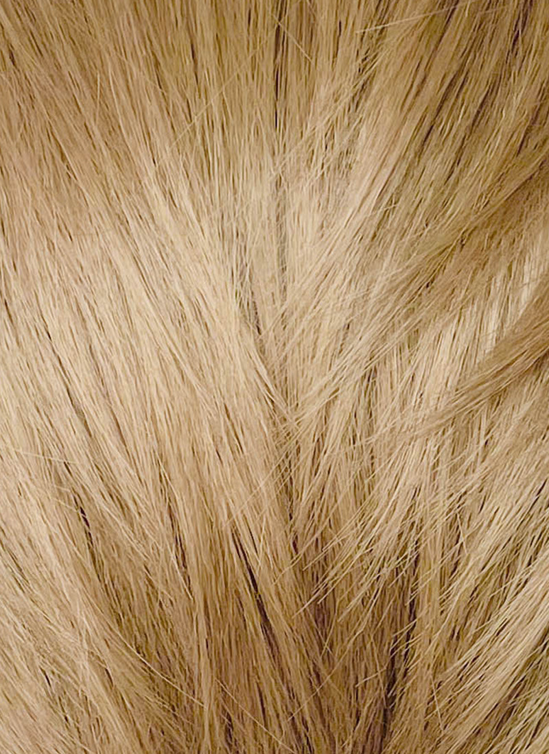 Mixed Blonde Straight Lace Front Synthetic Men's Wig NM008