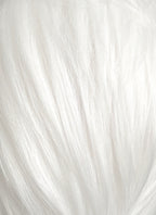 White Straight Lace Front Synthetic Men's Wig LF6188