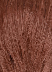 Auburn Straight Lace Front Synthetic Men's Wig LF8048
