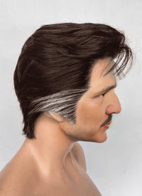 The Fantastic Four Mister Fantastic Reed Richards Brown Mixed Silver Grey Straight Lace Front Synthetic Men's Wig LF8072