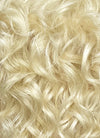Blonde Curly Lace Front Synthetic Men's Wig LF8081