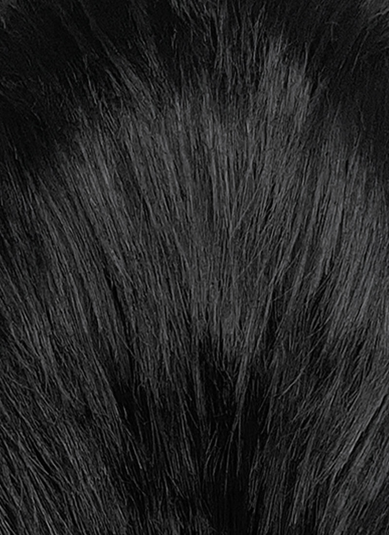 Black And White Straight Lace Front Synthetic Men's Wig LF8084