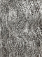 Resident Evil Lord Heisenberg Grey Mixed Black Wavy Lace Front Synthetic Men's Wig LF8120