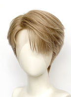 Medium Blonde Straight Lace Front Synthetic Men's Wig NM011