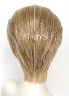 Medium Blonde Straight Lace Front Synthetic Men's Wig NM011