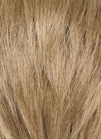 Medium Blonde Straight Lace Front Synthetic Men's Wig NM011