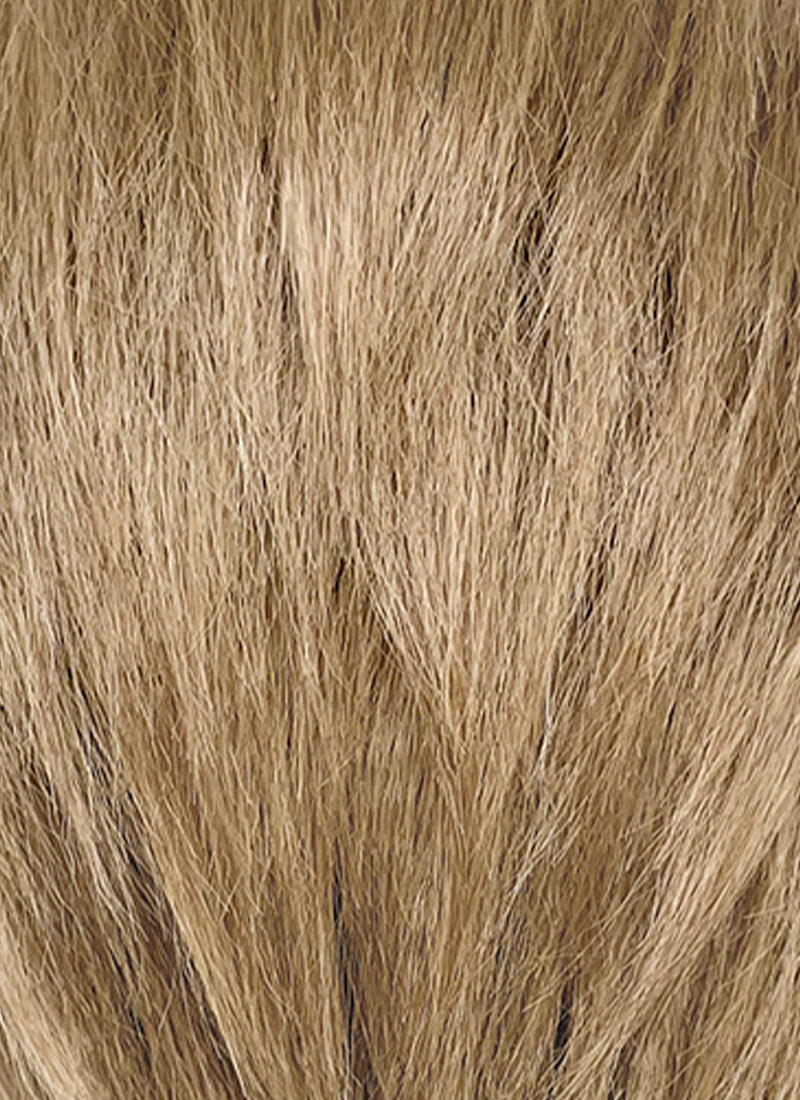Medium Blonde Straight Lace Front Synthetic Men's Wig NM011
