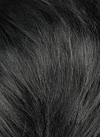 Short Lace Front Wig with Shaved Side - 2 Styles Available | Multiple Colors | Free 2 Wig Caps Included LF8127