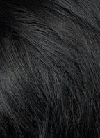 Short Lace Front Wig with Shaved Side - 2 Styles Available | Multiple Colors | Free 2 Wig Caps Included LF8127