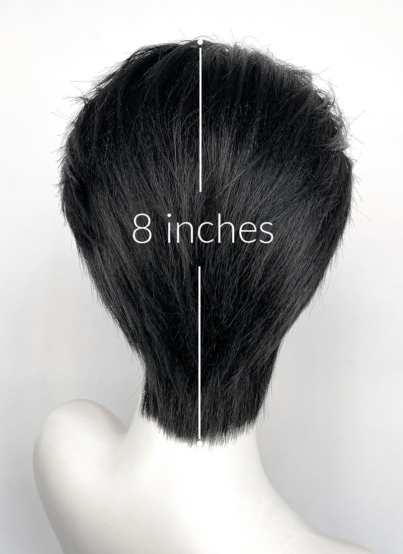 Black Straight Lace Front Synthetic Men's Wig LF8131