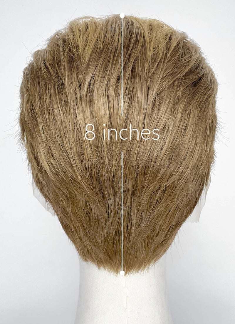 The Boys Homelander Mixed Blonde Straight Lace Front Synthetic Men's Wig LF8133