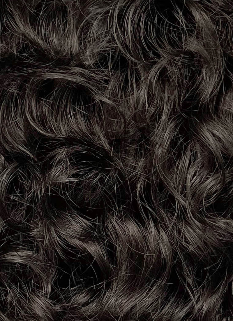 House of Dragon Prince Jacaerys Velaryon Brunette Curly Lace Front Synthetic Men's Wig LF8140
