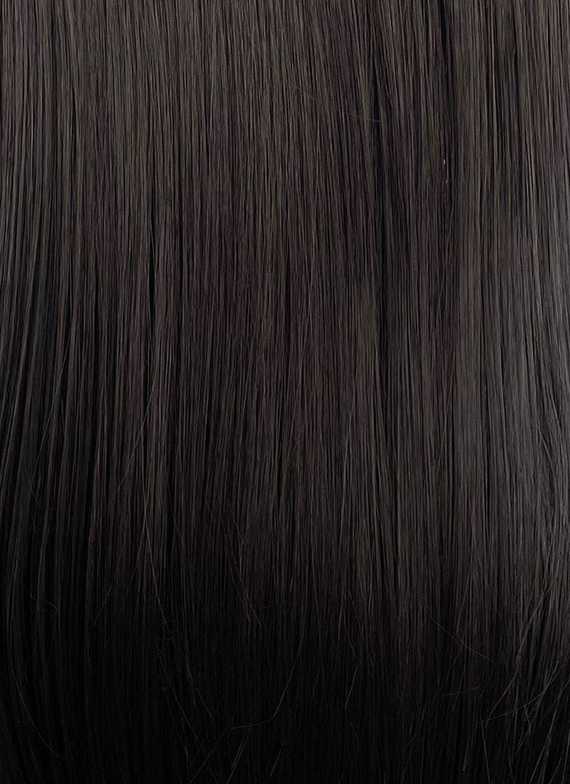 Brunette Straight Lace Front Synthetic Wig LFCS324