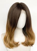 Brown Mixed Blonde Wavy Lace Front Synthetic Wig LFCS354