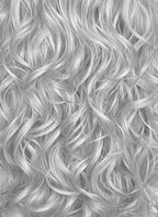 Silver Grey Wavy Lace Front Synthetic Hair Wig LW4067