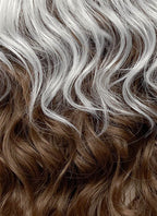 X-Men Rogue Silver White Mixed Brown Wavy Lace Front Synthetic Wig LW4109A