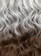 X-Men Rogue Silver White Mixed Brown Wavy Lace Front Synthetic Wig LW4109