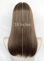 Mixed Brown Straight Synthetic Hair Wig NLCS024