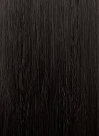 Purple Mixed Black Straight Synthetic Hair Wig NS538