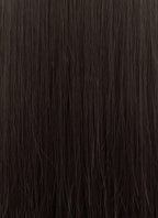 Brunette Straight Synthetic Hair Wig NS540