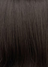 Brunette Straight Flip Synthetic Hair Wig NS544