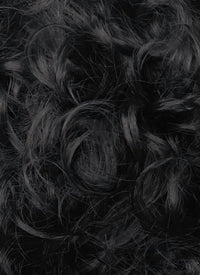 Stranger Things Mike Wheeler Black Curly Synthetic Men's Wig TB1769A