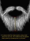 Full Beard Facial Hair Customizable