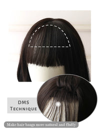 Brunette Straight Synthetic Wig NS077