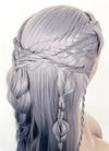 Two Tone Grey Braided Lace Front Synthetic Wig LF2141
