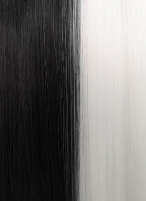 White Black Split Gemini Color Straight Lace Front Synthetic Wig LF3185