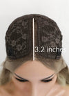 Ash Blonde With Brown Roots Money Piece Wavy Lace Front Synthetic Wig LF3219
