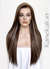 Brown Mixed Blonde Straight Lace Front Kanekalon Synthetic Wig LF3266