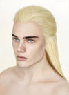 Blonde Straight Lace Front Synthetic Men's Wig LF3270A (Customisable)