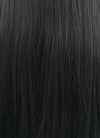 Straight Jet Black Lace Front Synthetic Wig LF327