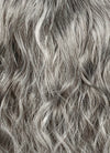 Mixed Grey Curly Lace Front Synthetic Hair Wig LF3313