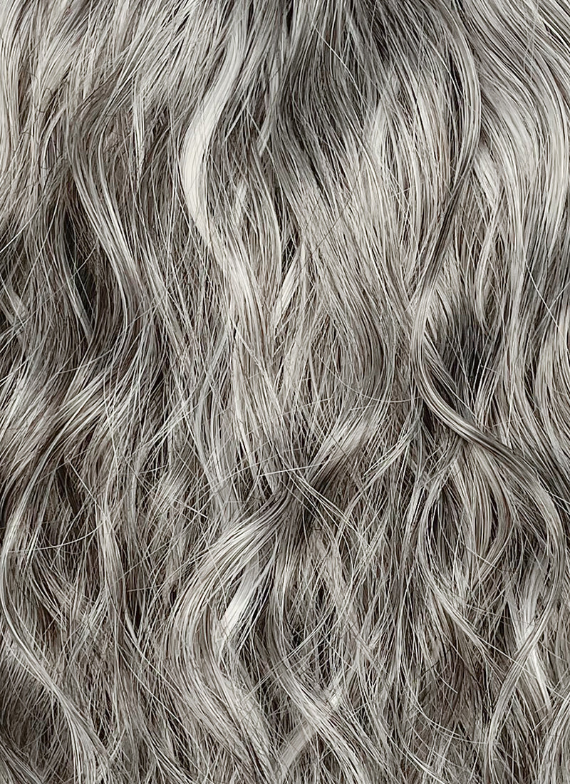 Mixed Grey Curly Lace Front Synthetic Hair Wig LF3313